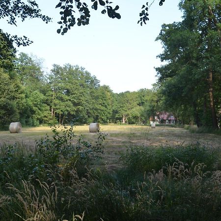 Vierseitenhof Appartements ブルク エクステリア 写真