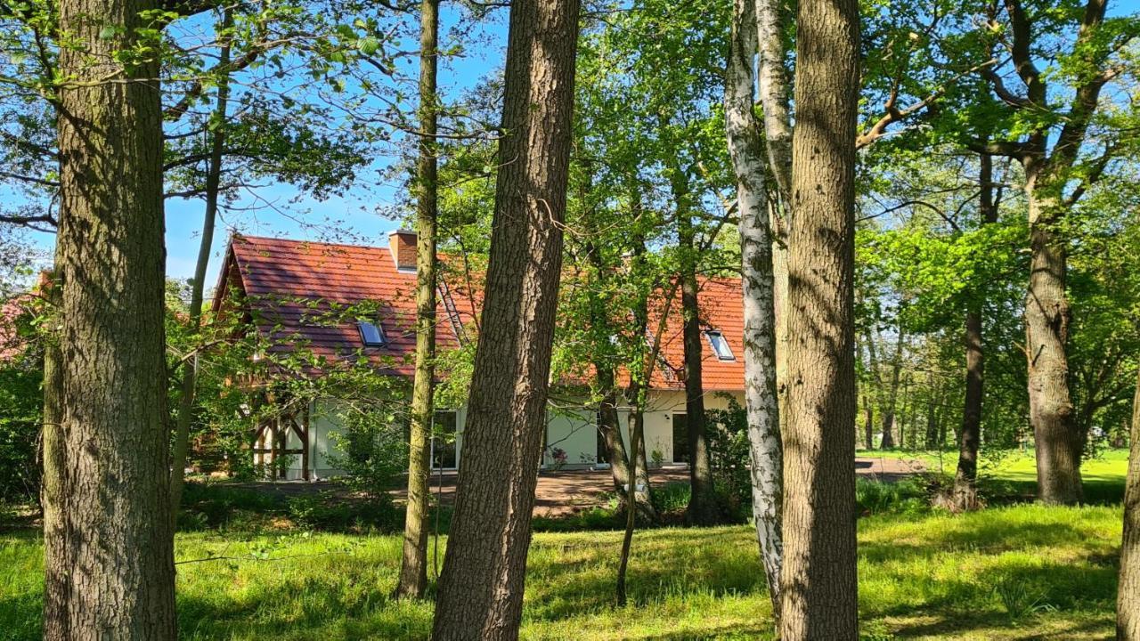 Vierseitenhof Appartements ブルク エクステリア 写真