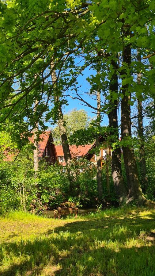 Vierseitenhof Appartements ブルク エクステリア 写真