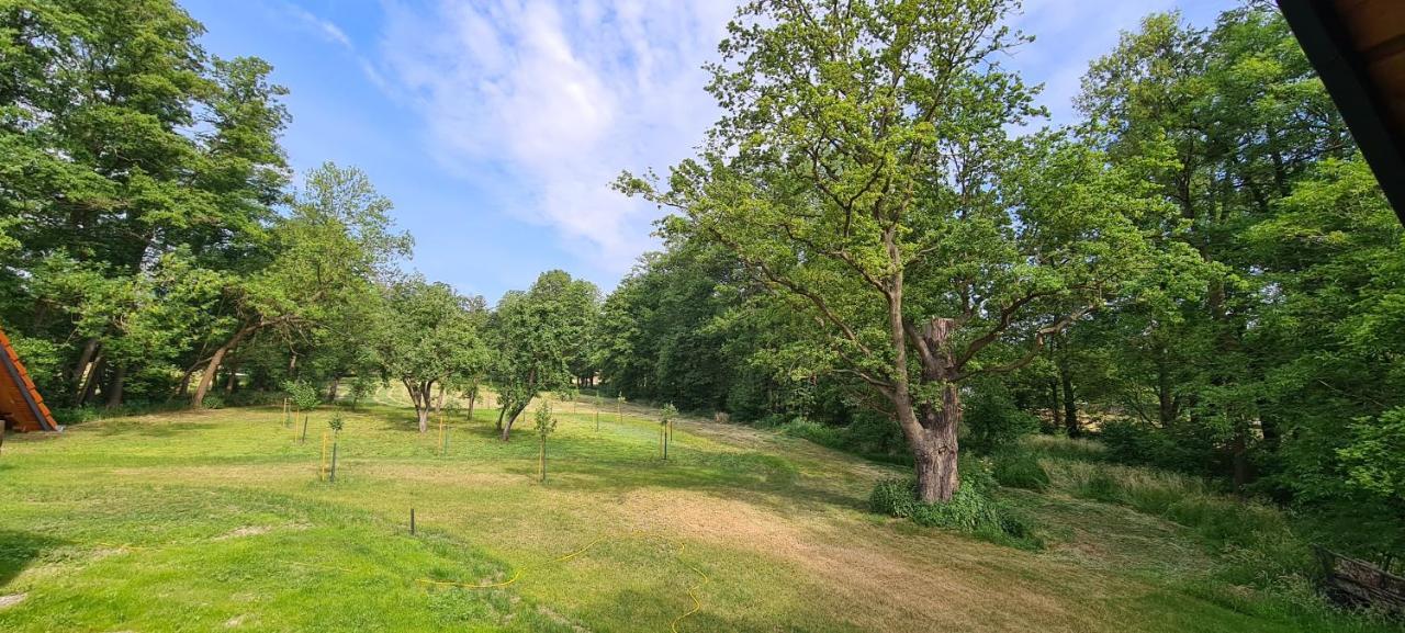 Vierseitenhof Appartements ブルク エクステリア 写真