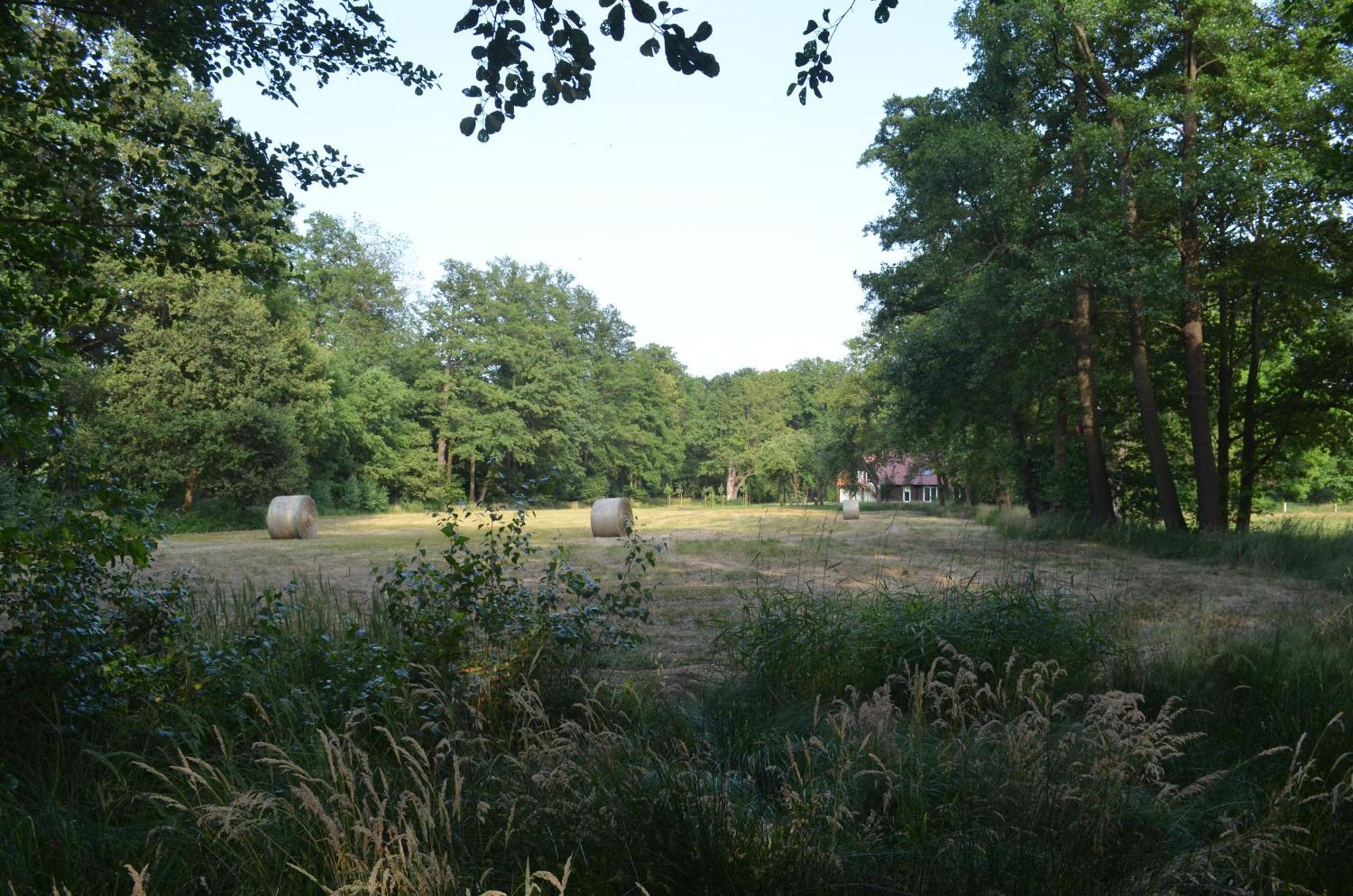 Vierseitenhof Appartements ブルク エクステリア 写真